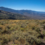 Basin and Range Trail Thru hike Section 9 0183