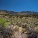 Basin and Range Trail Thru hike Section 9 0187