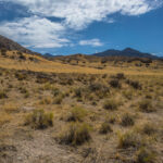 Basin and Range Trail Thru hike Section 9 – Goshute Range South End