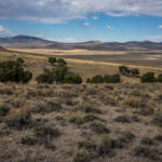 Basin and Range Trail Thru hike Section 9 – Antelope Valley