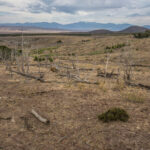 Basin and Range Trail Thru hike Section 9 – Antelope Range