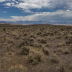 Basin and Range Trail Thru hike Section 9 – Steptoe Valley