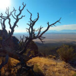 Basin and Range Trail Thru hike Section 9 1GP0001