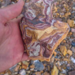 Rockhounding Wonderstone in Nevada Gold Mine