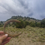 Horseshoe Found in Becky Peak Wilderness
