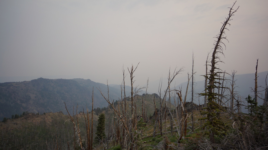 forest fire smoke obscures view into hells canyon wilderness