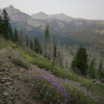 He Devil Summit Hike – Seven Devils Mountains, Idaho0003