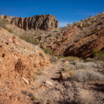 Mojave-Sonoran Trail Thru Hike Section 1 – Valley of Fire 014