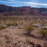 Mojave-Sonoran Trail Thru Hike Section 1 – Valley of Fire 022