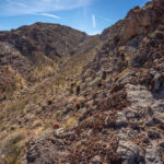 Mojave-Sonoran Trail Thru Hike Section 1 – Valley of Fire 028