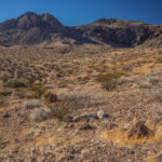 Mojave-Sonoran Trail Thru Hike Section 1 – Valley of Fire 214