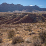 Mojave-Sonoran Trail Thru Hike Section 1 – Valley of Fire 216