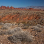 Mojave-Sonoran Trail Thru Hike Section 1 – Valley of Fire 217