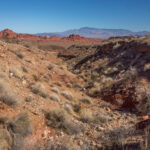 Mojave-Sonoran Trail Thru Hike Section 1 – Valley of Fire 219