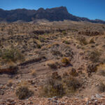 Mojave-Sonoran Trail Thru Hike Section 1 – Valley of Fire 220