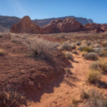 Mojave-Sonoran Trail Thru Hike Section 1 – Valley of Fire 235