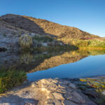 Rogers Spring – Mojave Sonoran Trail