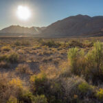 Hiking around the Muddy Mountains – Mojave-Sonoran Trail