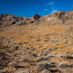 The Muddy Mountains Nevada