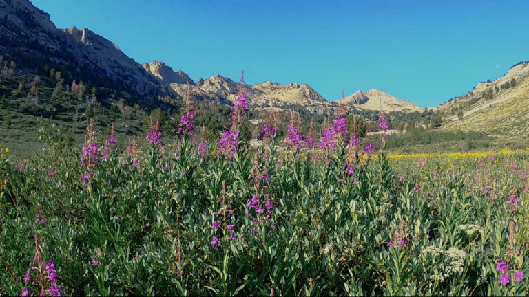 Ruby Mountains, NV: High Route Hike Lamoille Canyon to Seitz Canyon ...