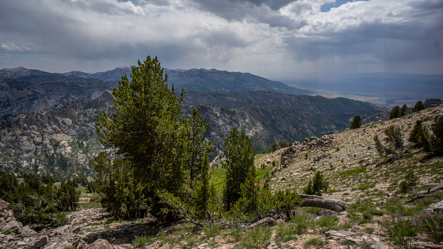 hikers view of ruby range and lamoille valley from ruby mountains