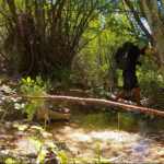 Snake Range Nevada Junke Hiking 002