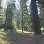 Wallowa Lake Trailhead, Oregon