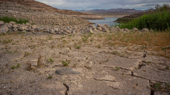 hiking the shoreline of lake mead national recreation area