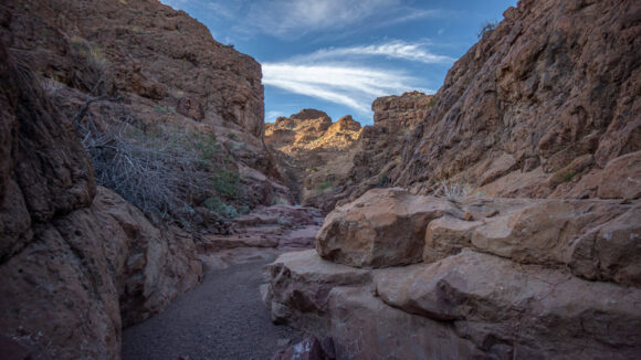 hiking cleopatra wash lake mead nevada