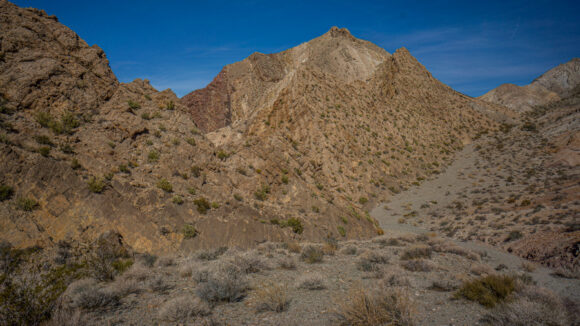 hiking pinto valley wilderness to sentinel summit