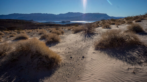 hiking callville bay area lake mead