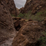 Mojave-Sonoran Trail Thru Hike Section 4 – Boulder City to Searclight 113