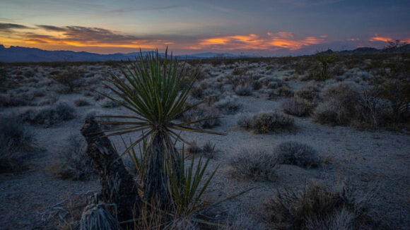 sunset in eldorado valley nevada