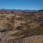 Mojave-Sonoran Trail Thru Hike Section 5 – Spirit Mlountain 196