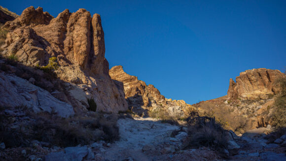 backpacking mount nutt wilderness black range arizona