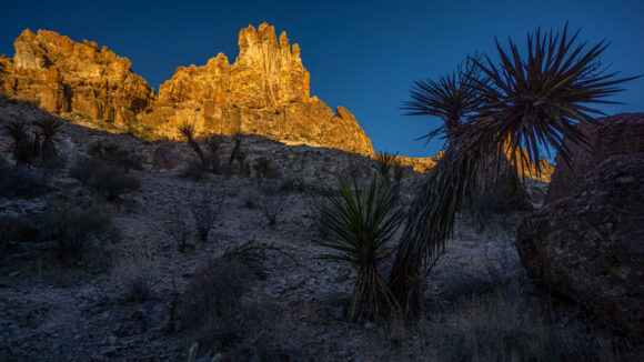 backpacking mount nutt wilderness black range arizona