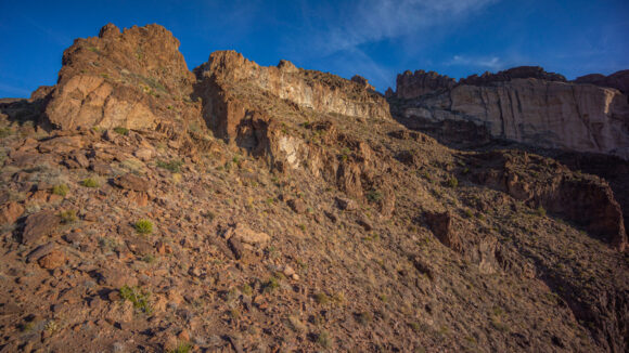 hiking mount nutt wilderness black range arizona