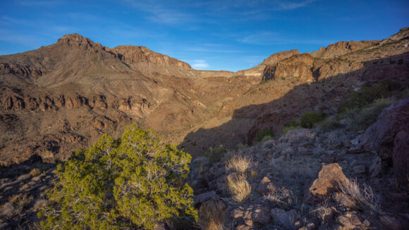 hiking mount nutt wilderness black range arizona