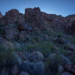 Mojave-Sonoran Trail Thru Hike Section 6 – Bullhead City to Lake Havasu 295