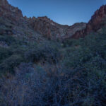 Mojave-Sonoran Trail Thru Hike Section 6 – Bullhead City to Lake Havasu 296
