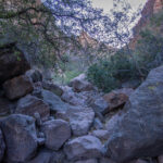 Mojave-Sonoran Trail Thru Hike Section 6 – Bullhead City to Lake Havasu 298