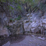 Mojave-Sonoran Trail Thru Hike Section 6 – Bullhead City to Lake Havasu 299