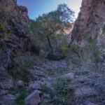 Mojave-Sonoran Trail Thru Hike Section 6 – Bullhead City to Lake Havasu 308