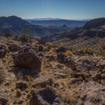 Mojave-Sonoran Trail Thru Hike Section 6 – Bullhead City to Lake Havasu 335