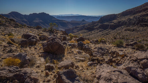 hiking mount nutt wilderness black range arizona