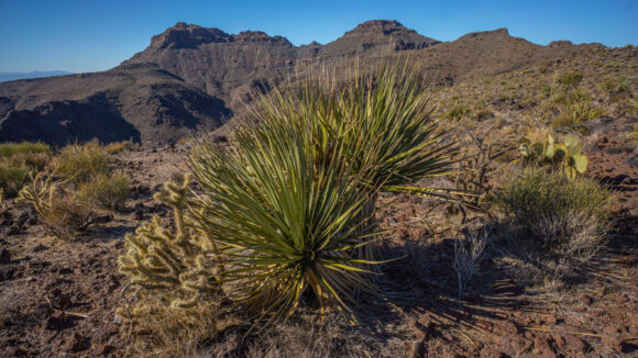 black mountains arizona ridgeline traverse