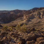 Mojave-Sonoran Trail Thru Hike Section 6 – Bullhead City to Lake Havasu 402