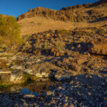 Mojave-Sonoran Trail Thru Hike Section 6 – Bullhead City to Lake Havasu 422