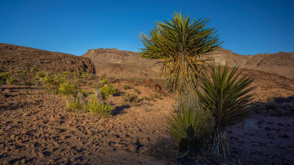 backpacking the warm springs wilderness arizona over black mesa