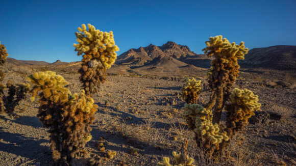 backpacking the warm springs wilderness arizona over black mesa